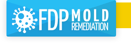 FDP Mold Remediation of Miami