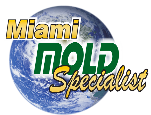 Miami Mold Specialist